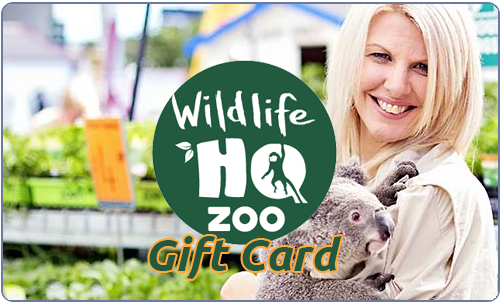 wildlife safari family pass
